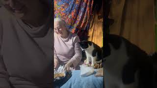 Аня , Дима и Кот , Херсон , январь 2024