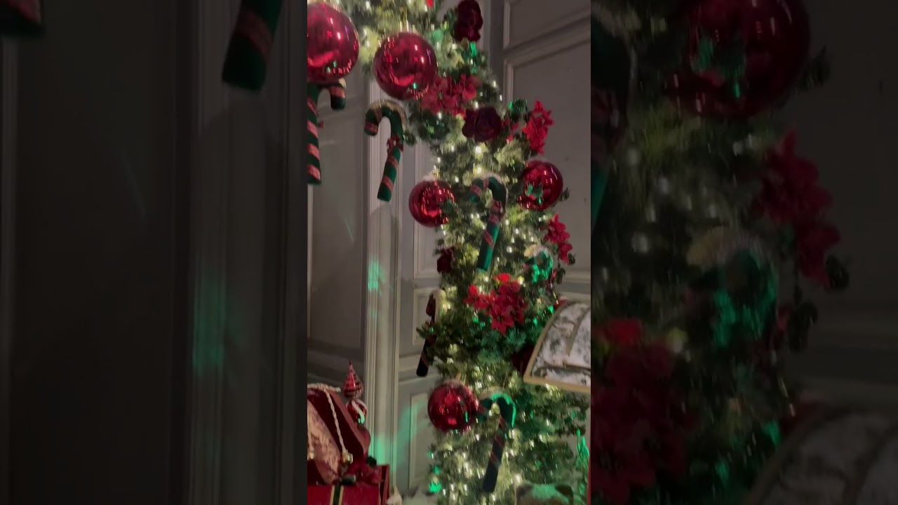 Château de Vaux-le-Vicomte. Paris 27.12.2025