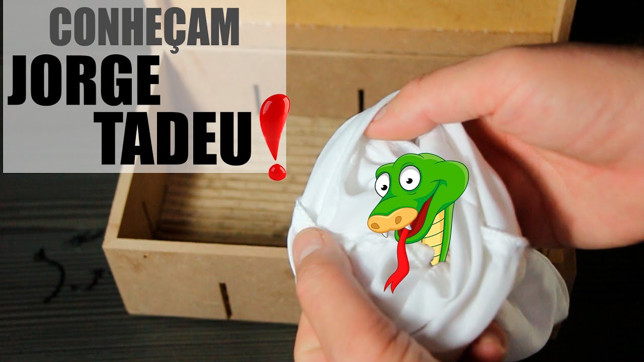 Minha Cobra de Estimação Chegou Unboxing de Uma Cobra Cobra no Aeroporto #cobradobem #wildeyesEPS