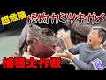 43.【危険】カミツキガメの巣窟 印旛沼で８時間の大捜索！
