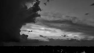 Jake Dryzal / Blue Navy - "Summer Rain" (Rivulets cover)