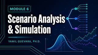 Module 6 Scenario Analysis and Simulation