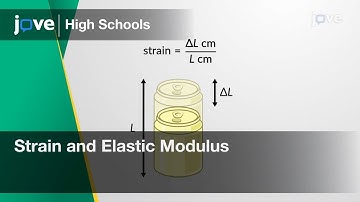 Strain and Elastic Modulus | Physics | Video Textbooks - Preview