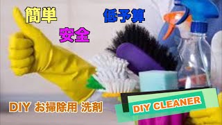 [アメリカ生活] 簡単 安全 低予算 DIY お掃除用クリーナー