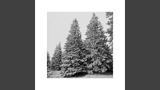 Download Lagu Mote MP3