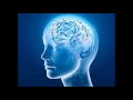 Small Intestine 2 - Isochronic Tones - Brainwave Entrainment Meditation