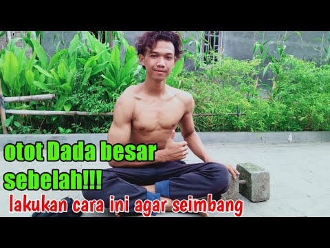 cara mengatasi otot DADA yang besar sebelah