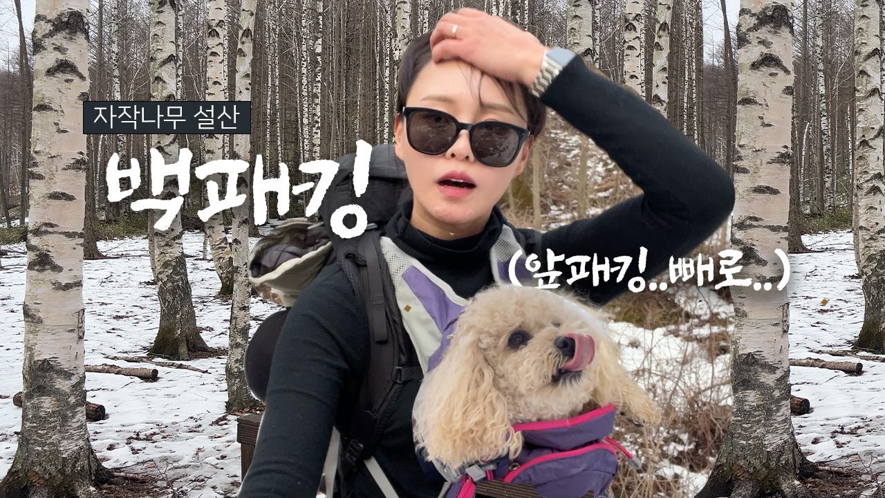 [애견동반 백패킹] 어리석었죠 강아지랑 눈오는날 백패킹 간다는게,,,6kg 강아지 앞에 메고 텐트 뒤에 짊어지고 자작나무 하이킹
