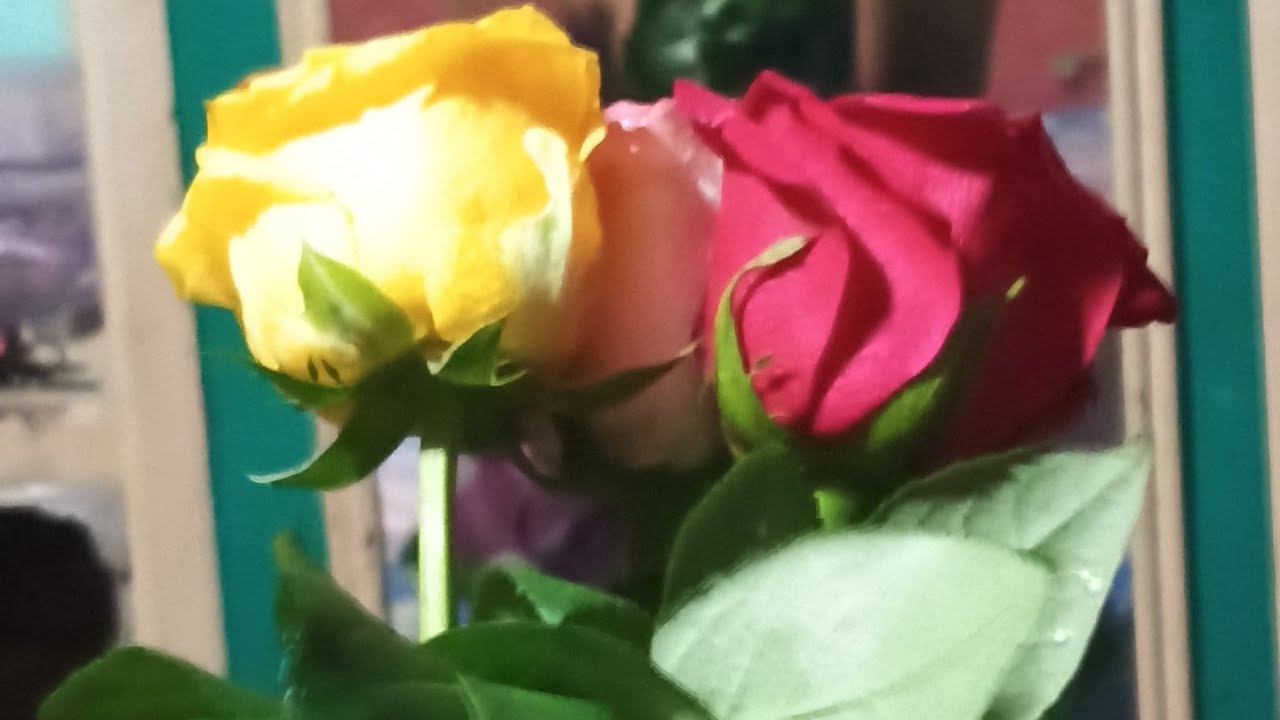 My Cute Subscribers Demand name write and style signature...So Please comment me