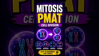 TEAS Students Always Miss This… PMAT (Mitosis) Explained Fast 🧬