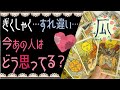 ぎくしゃく…すれ違い…ケンカ…なかなかうまくいかない恋、あの人はどう思ってる？♥恋愛タロット占い･オラクルカード･ルノルマンカードリーディング☆Tarot Reading☆
