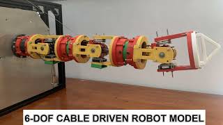 Design model and motion controller for 6-DOF cable driven robot system based on CAN Network