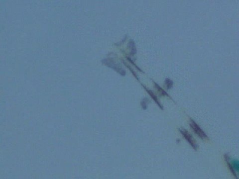 video editing software free Oxymonacanthus longirostris Prolarvae 60X 42 hour post hatch