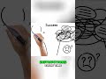 Turn Ideas into Computer Instructions #shorts