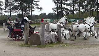 57 Würgler Daniel, Sui, Horse Four In Hand Caio4 Kronenberg Ned, Marathon Ob 2, 18 04 2026