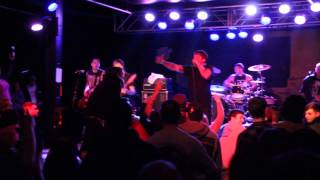Celebrity Comeback Kid - False Idols Fall Profile