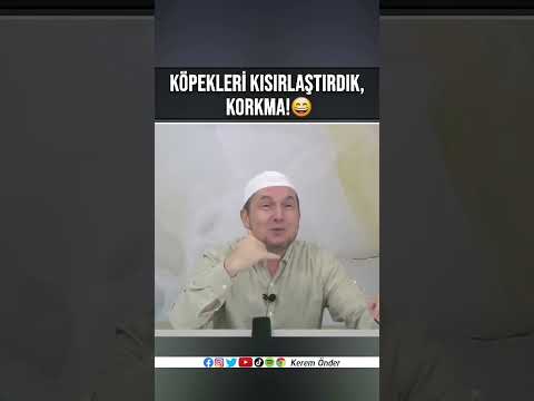 Köpekleri kısırlaştırdık, korkma!
