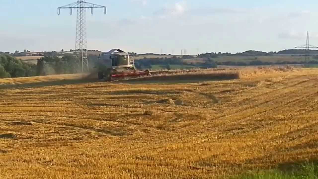 Dreschen 2014 Lexion 420 Evolution mit einem c540 Teil2