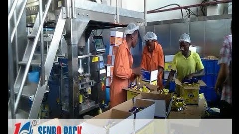 Biscuit packing: VFFS packing machine with multihead scale