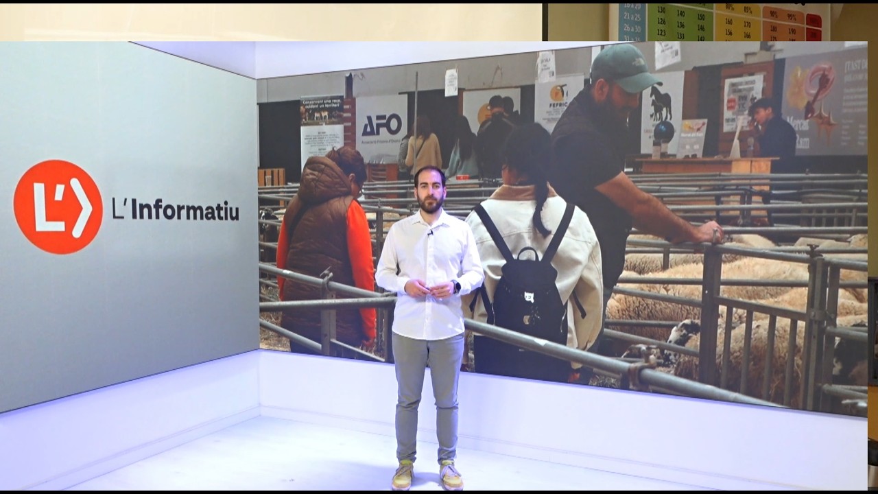 L'Informatiu 01-04-2026