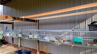 Hanging Rabbit Cages The Right Way | Rabbitry