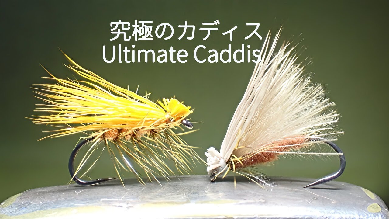 究極のカディス