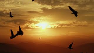 ENDLESS TWILIGHT- Piper Dellums