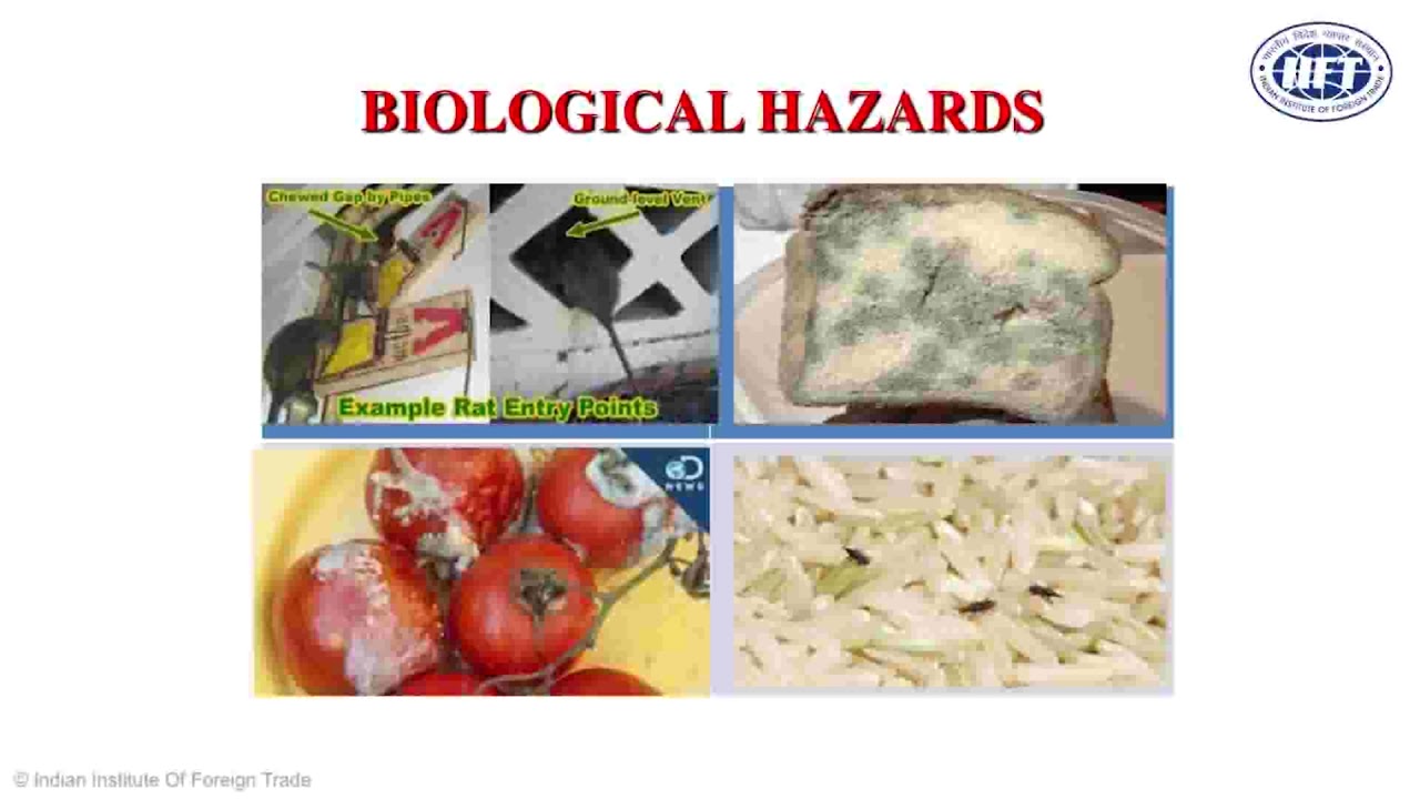 20. Import Export Training India -  Importance of Packaging in Exports