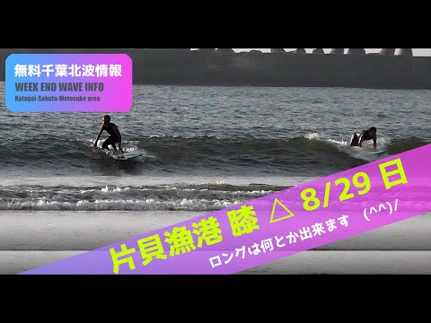 サーフィン 波情報 千葉北 片貝漁港 ８月２９日 ロングは出来ます Youtube
