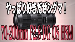 実使用レビュー 新型Sigma 70-200F2.8 Sport