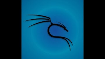 Lesson 1: Setting Up a Virtual Lab using VMWare Fusion for hacking OWASP BWA.