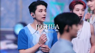 4K Joshua Hot Scenepack Megalink