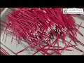 Fully Automatic 5 Wire Tinning Machine Systems Custom Operations Tools Smooth Setup