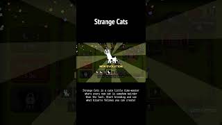 STRANGE CATS