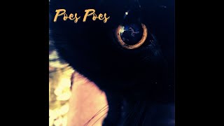 Video thumbnail of "Poes Poes"