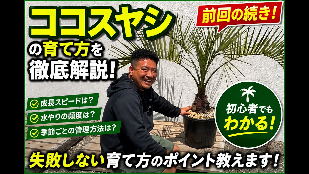 For Beginners] The CEO gives a thorough explanation on how to grow