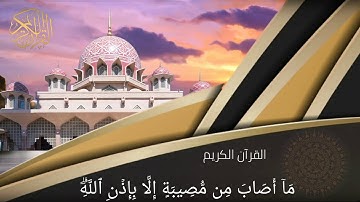 آيات بينات من سورة التغابن للقارئ محمد رعد الكردي