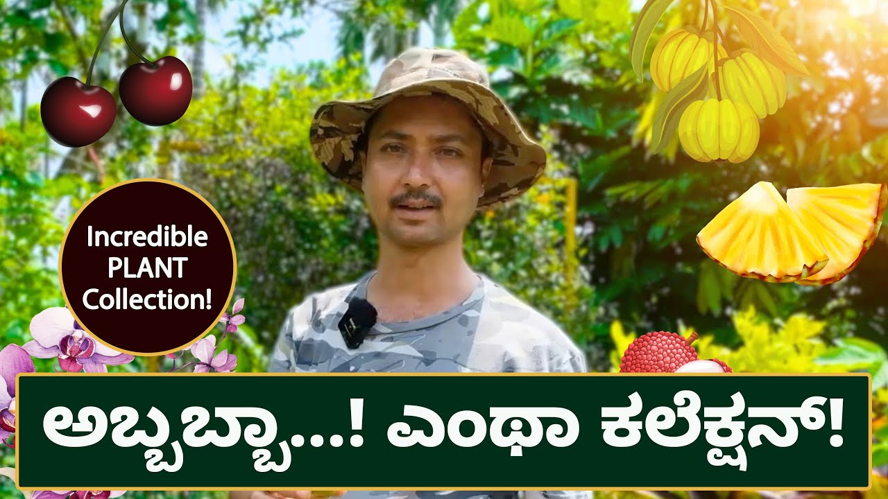 ಶೃಂಗೇರಿಯಲ್ಲಿನ ಅತ್ಯದ್ಭುತ ಗಿಡಗಳ ಕಲೆಕ್ಷನ್ | Exotic Plants collector in Sringeri | Keremane Homestay