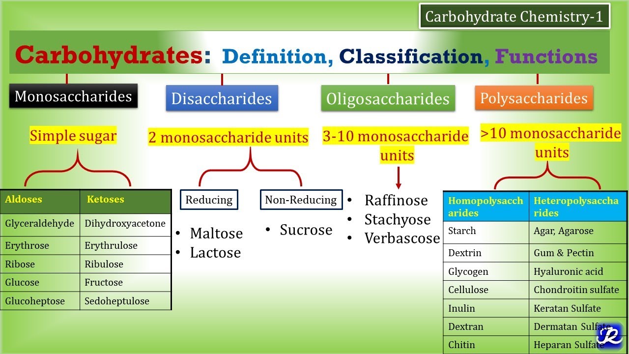 Carbohidratos: funciones y clasificación