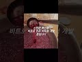 향긋.달콤.상콤 예쁜 비트청 완성~😍 먹기 거북한 비트의 흙냄새와 매운 맛을 확실히 잡는 비법은? 👍🏻   #차선생의아뜰리에 #수제청창업 #비트청 #창업클래스 #카페창업