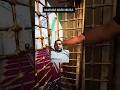 Hazrat Musa a.s qabar Mubarak viral shorts #love #makamnabi #funny
