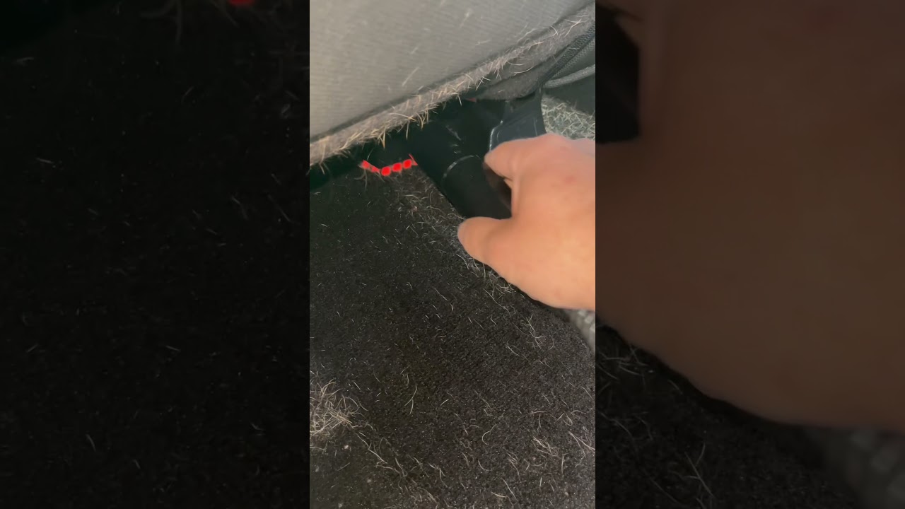 Bissell Little Green Pro Heat Pet. Should have vacuumed first but wanted to try it !!