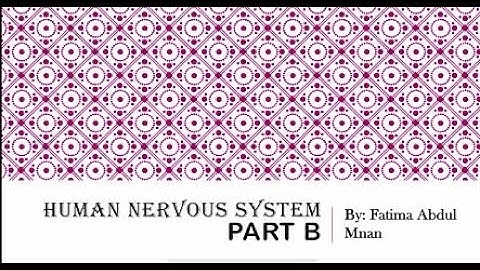 HUMAN NERVOUS SYSTEM  (PART B) | GENERAL SCIENCE | UNIT:01, GRADE 8 | KNOWLEDGE IS POWER