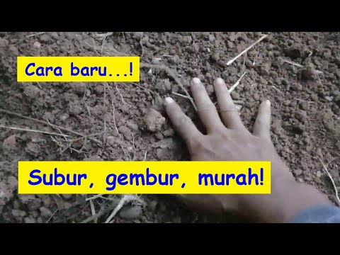 Video: Bagaimana anda membuat tanah yang subur menjadi subur?