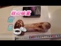 雨の伝言板 「高島レイラさん」  唄  ボーカロイド    2016. 10. 12