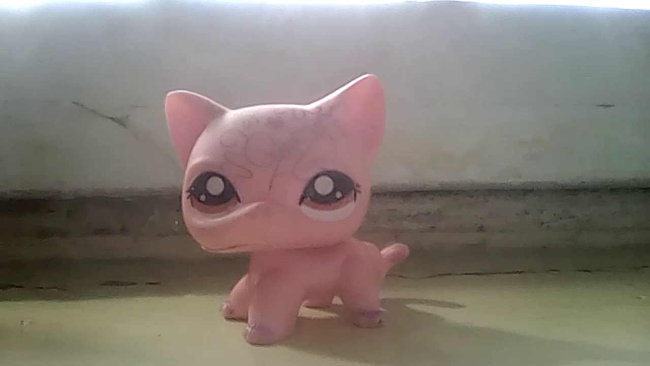 Песня нет шоп - YouTube