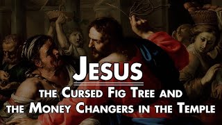 CATHOLIC MEDITATION: Friday - 29 May, 2026. (8th Week - Ordinary Time, Year A).