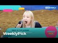 (Weekly Pick) Dogs Are Incredible / The Seasons  and more | KBS WORLD TV