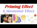 The Priming Effect &amp; Ideomotor Effect (“Words Altering Behavior”)