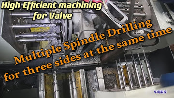 Special Valve Machining Machine - Mutiple Spindle Drilling - Special drilling machine for valve